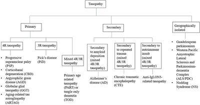 Tauopathy and Movement Disorders—Unveiling the Chameleons and Mimics